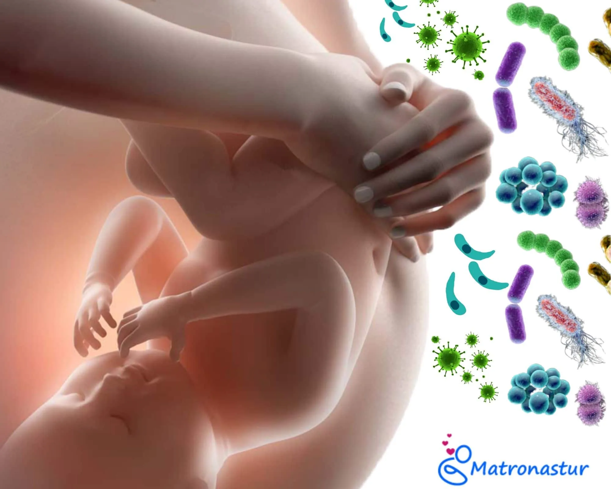 Enfermedades infecciosas en el embarazo