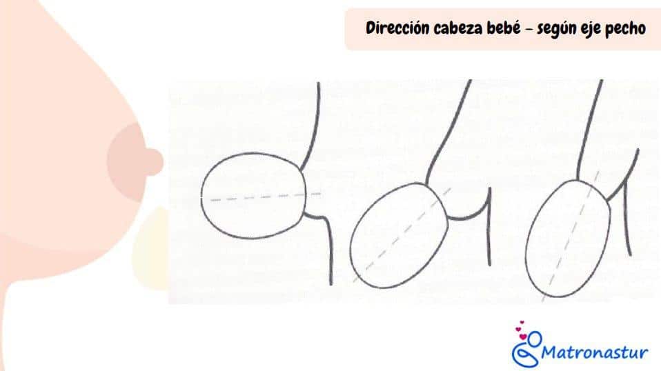 Dirección de la cabeza del niño durante lactancia materna